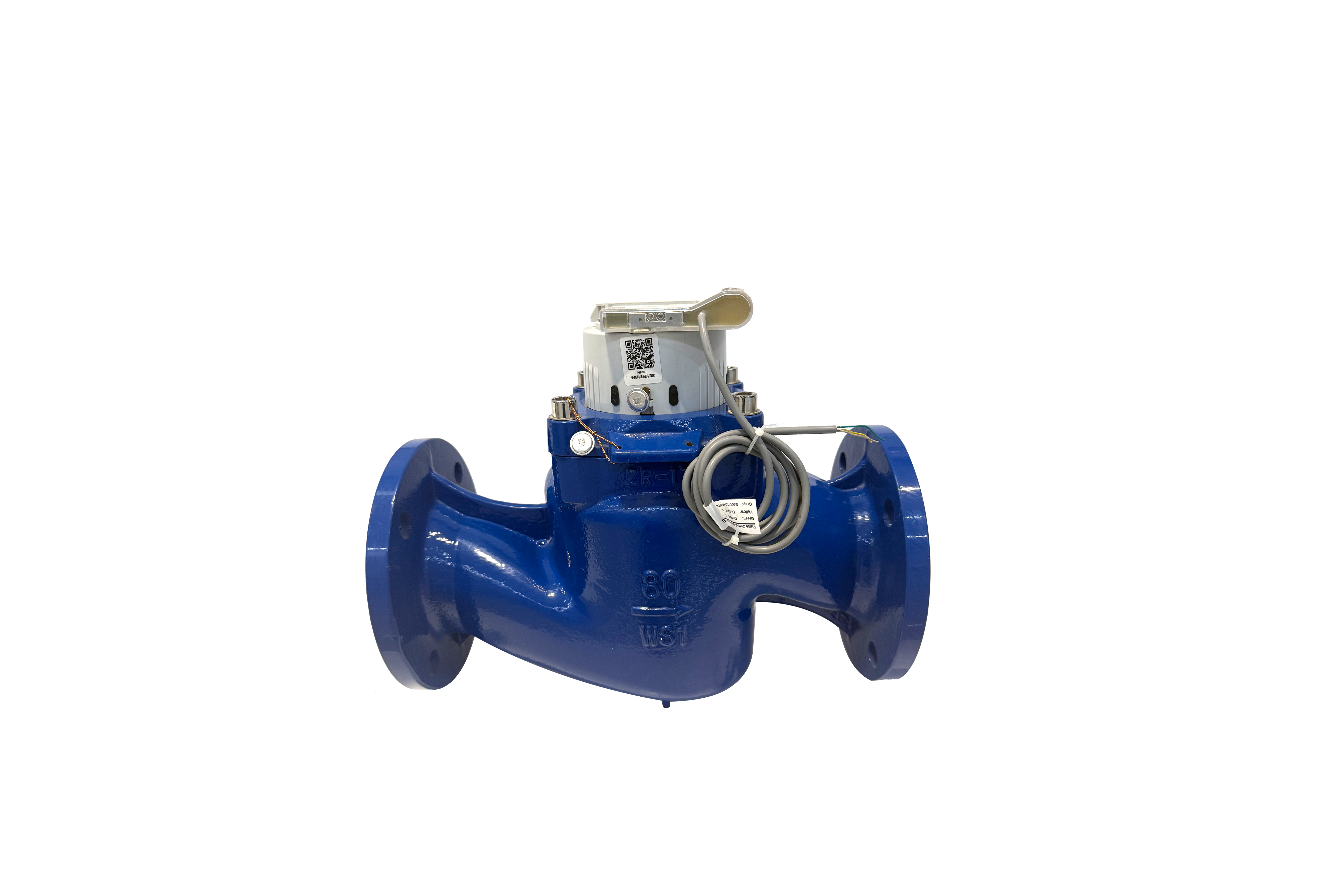 大口徑遠傳水表